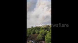 Greece: Wildfire Prompts Evacuation Orders Outside Athens 2