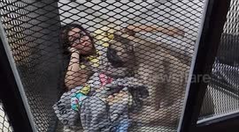 Devoted dog lover sleeps in kennel with her pet pooches