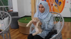 Palestinian woman opens the first cat cafe MEOW cat cafe in Gaza