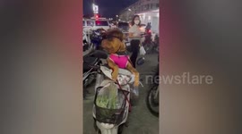Cool pet dog wears sunglasses sitting on motorcycle outside market