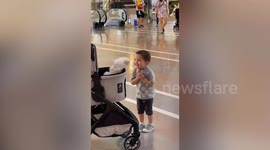 Adorable moment toddler is overjoyed when he strokes a pet dog in shopping mall
