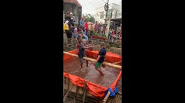 Pillow-whacking splashdown: hilarious pool game takes a wacky turn in Depok City