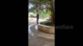 Outrage in Chinese park as fitness enthusiasts swing from trees