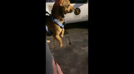 He Air-Walks Very Properly