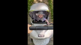 Bumpy Adventures Kiddo Enjoys Wooden Walkway