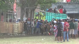 cow racing tradition in progo field, probolinggo city