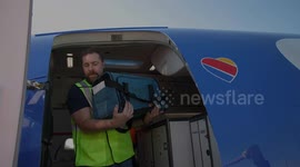 Airlines help charities fly pets caught in Maui fire to new homes