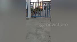 Pet dog awkwardly lifts hind legs to pass between gate's iron bars