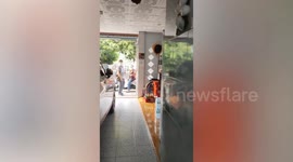 Pet parrot flies to greet owner who just came home