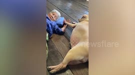 Sweet grandmother, 84, snuggles up with chubby pet dog on floor