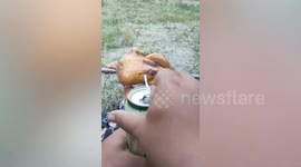 Campers use drill to roast chicken on their campsite