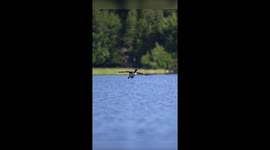 Loon landing