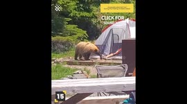 Funniest Camping Fails