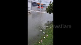 Dominican Republic: TS Franklin Causes Major Flooding, Leaving At Least 2 Dead