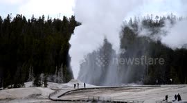 Lion Geyser erupting in Yellowstone National Park, Wyoming