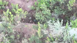 Ukrainian border guards drop bombs on Russian soldiers