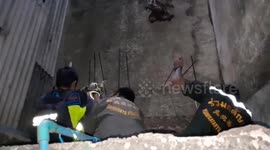 Hapless stray cat found impaled on steel spike rescued in Thailand