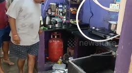 Terrified family rely on brave snake catcher to remove serpent from kitchen