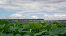 China-Laos Railway, a road of prosperity