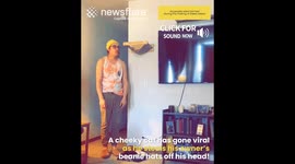 Cheeky Cat steals it's owners hats off his head