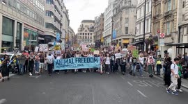 Animal rising match through London protesting for animal rights
