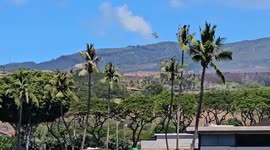 US: Evacuation Order Issued As Another Brush Fire Breaks Out In Kaanapali, Maui