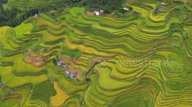 Jiapang Rice Terraces in Congjiang, China