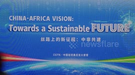 China-proposed BRI milestone in China-Africa partnership: Tanzanian official