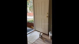 Squirrel Helps Himself to Peanuts