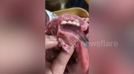 Shopper horrified by fish with human-like teeth she bought for lunch