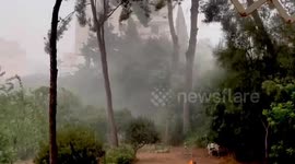 Spain: Winds Snap Tree During Severe Storm In Mallorca