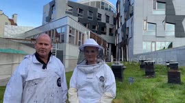 Meet the 18-year-old Beekeeper who looks after million bees on top of Scottish Parliament