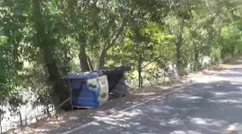 Locals build shanties to keep stray dogs dry from rain in Thailand