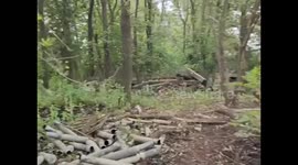 Ukrainian forces reclaim trenches and territory from Russian troops near Bakhmut