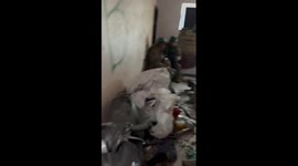 Ukrainian soldiers find respite amidst tensions: sheltering in the face of conflict near Bakhmut