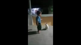 Playful cat teaches a boy gentle lesson