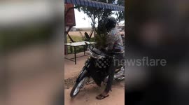 Sudden gust whips up dust and shakes trees in Cambodia