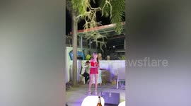 Curious pet dogs peer over garden wall to see neighbour's karaoke party