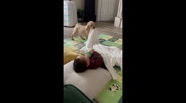 Puppy Tucks In Brother For Bedtime