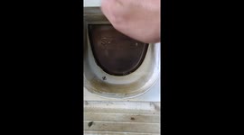 A Very Friendly Door Greeter