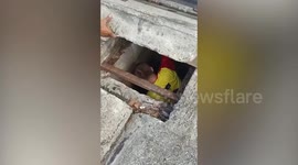 Brave passer-by climbs into sewer to save stranded kitten