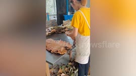 Fascinating footage shows giant leaves being pressed and turned into bowls