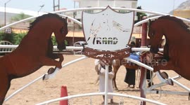 Heatwave takes toll on Yemen's precious indigenous Arabian horses
