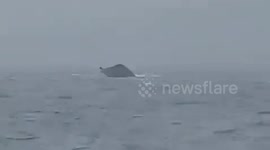 Vessel sinks during Super Typhoon Saola sparking oil spill fears in the Philippines