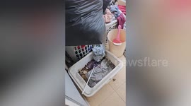 Landlord shocked when Italian tenant leaves room looking like a rubbish tip