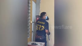 Massive python hiding behind family's concrete wall rescued