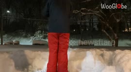 A satisfying time-lapse of clearing the snow from driveway by shoveling