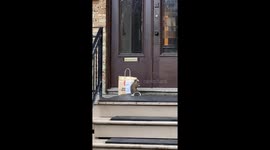 Squirrel Enjoys His Food Delivery