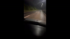 Bear with can stuck on head roams near Primorye's Barabash village