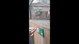 Owl Has Heard Enough